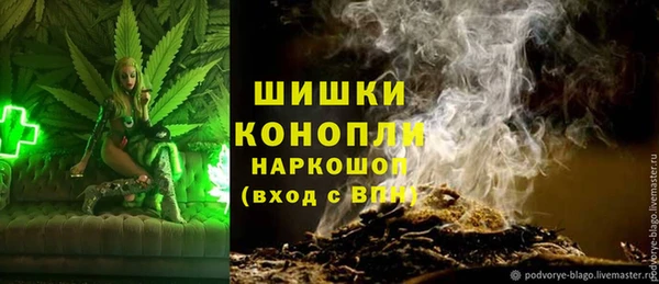 спиды Алексеевка