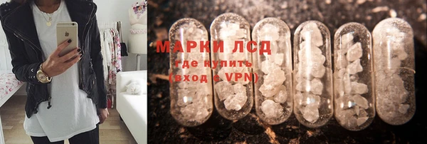 гидра Алзамай