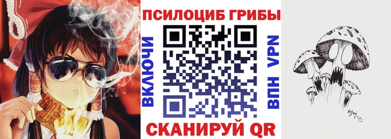 купить наркотик  Порхов  Псилоцибиновые грибы мухоморы 
