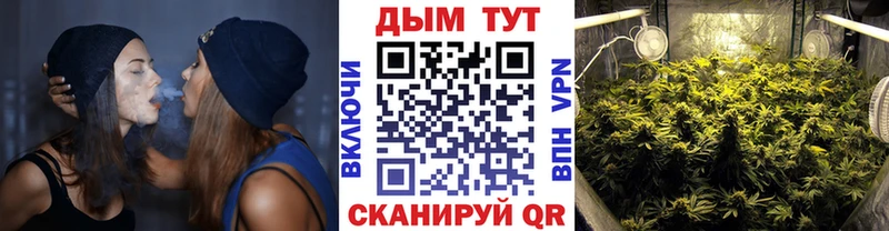 закладки  Порхов  MEGA вход  Конопля AK-47 